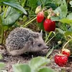 Grow Food Year Round in an Underground Greenhouse