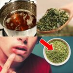 Ginger and Clove Tea: A Natural Remedy for Your Well-being