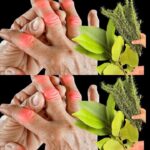 Orchids Bloom Ten Times More if They Are Watered with This Ingredient