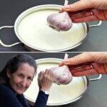 Lemon Juice, Honey, Garlic, Onion, and Grated Ginger: A Natural Solution for Flu and Congestion