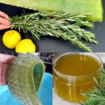 Certainly! Here is an extended version of your article with 1300 words, diving deeper into the benefits, preparation steps, and more tips for using ginger and thyme-based cough syrup.