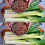 Attracting Butterflies with a Simple DIY Fruit Feeder: Benefits for Your Garden
