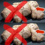 Sipping on Ginger and Rosemary Tea: A Glass Full of Health Benefits
