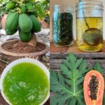 How to Make the Perfect Pineapple, Turmeric, Carrot, and Lemon Juice: Homemade Immune Boosting Juice