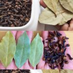 How to Grow a Potted Lemon Tree That Actually Produces Lemons
