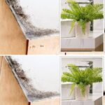 Aluminum Foil: Uses and Benefits You Never Expected for Your Home and Kitchen