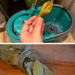 When Squeezing Lemons, Don’t Make the Mistake of Throwing Away the Seeds: They Are Worth Their Weight in Gold When Used This Way