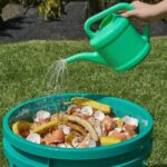 Transform Your Garden: Powerful and Free Fertilizer Made from Banana Peels and Eggshells