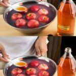 How to Remove Fish Scales Using a Plastic Bag – The Genius Hack!