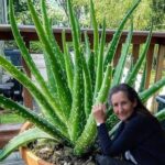 6 Natural Herbs That Improve Your Health