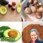 12 Incredible Ways Aloe Vera Can Enhance Your Daily Routine