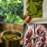 Crêpe Batter: The Best Recipe for Easy and Delicious Crêpes