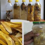 The Most Potent Natural Remedy for Parasites, UTIs, Herpes & Flu: Oregano Oil