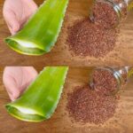 Say Goodbye to Ants, Cockroaches, Bed Bugs & Mosquitoes — Naturally!
