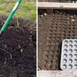 How to Make Homemade Fertilizer for Your Garden