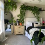 7 Incredible Spider Plant Benefits