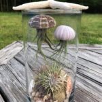 15 Essential Tips Every Snake Plant Owner Should Know
