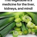 🌿 How to Make Your Pilea Peperomioides (Chinese Money Plant) Bushier: Complete Guide and Advanced Techniques