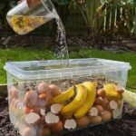 How to Turn Plastic Bottles Into a DIY Rotating Irrigation System