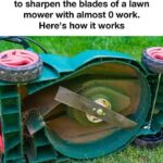 The 2 Powerful Techniques You Can Apply at Home to Remove Bleach Stains