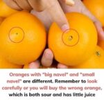 Making Lemon Powder Is Very Easy