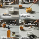 15 Surprising Uses for Pine Cones Every Gardener Should Know