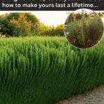 What Really Happens When You Sleep in Socks – The Surprising Benefits You Might Not Know About