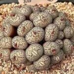 3 Colors You Should Never Wear to a Funeral