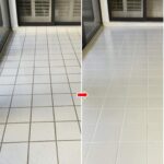 🌱 Reusing Pistachio Shells: How to Turn Them Into Powder and Use It in Your Garden