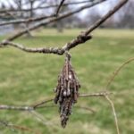 Brilliant Ideas: Unlock Your Creative Potential