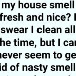 🫐 This Is How To Grow a Never-Ending Supply of Blueberries in Your Backyard