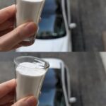 🎾 This Simple Tennis Ball Can Save Birds in Winter (Few People Know This)