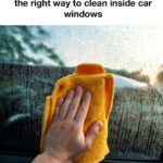 🫐 This Is How To Grow a Never-Ending Supply of Blueberries in Your Backyard