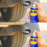 How to Force a Snake Plant to Produce Pups for Unlimited Babies