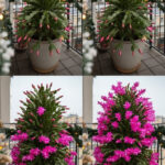 Remove Tartar from Your Teeth and Whiten Them with This Simple Recipe