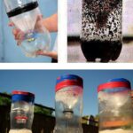 12 Gorgeous Ideas for Training Pothos Plants at Home