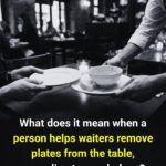 The Plant Everyone Should Have at Home: Kalanchoe — A Natural Healer for Infections, Diabetes, Circulation, and More