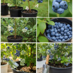 Lady Pierces Dollar Store Metal Utensil Holders With Lights—This Hack Looks Way More Expensive Than It Is