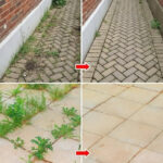 The Most Effective Trick to Degrease Plastic Containers in Seconds