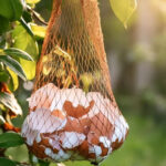 They Said It Was a Pity Date — But God Was Writing a Different Love Story