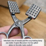 How To Save Your Dying Orchid With Just One Ingredient