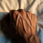 The 700-Egg Experiment: What One Researcher Learned About Cholesterol