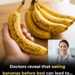 Lemon Syllabub: A Classic English Dessert Made Modern