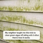 My Mom Has a Drawer of Old Ice Cube Trays Labeled “Slow Cooker Supplies” — What on Earth Are They For?