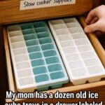 Just Tried This and Whoa: The Simple Lavender and Baking Soda Trick That Can Freshen Your Home