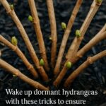 Why Circulation and Clean Arteries Matter for Your Health