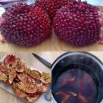 Is It Fine to Turn on the Range Hood Lights Overnight?