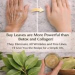 The Four Leaves Often Used in Traditional Remedies for Metabolic Health