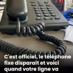 Is Your Olive Oil Fake? What You Really Need to Know