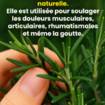 I Have Very Bad Breath: Causes and Solutions